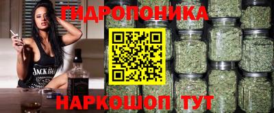 apvp Вышний Волочёк