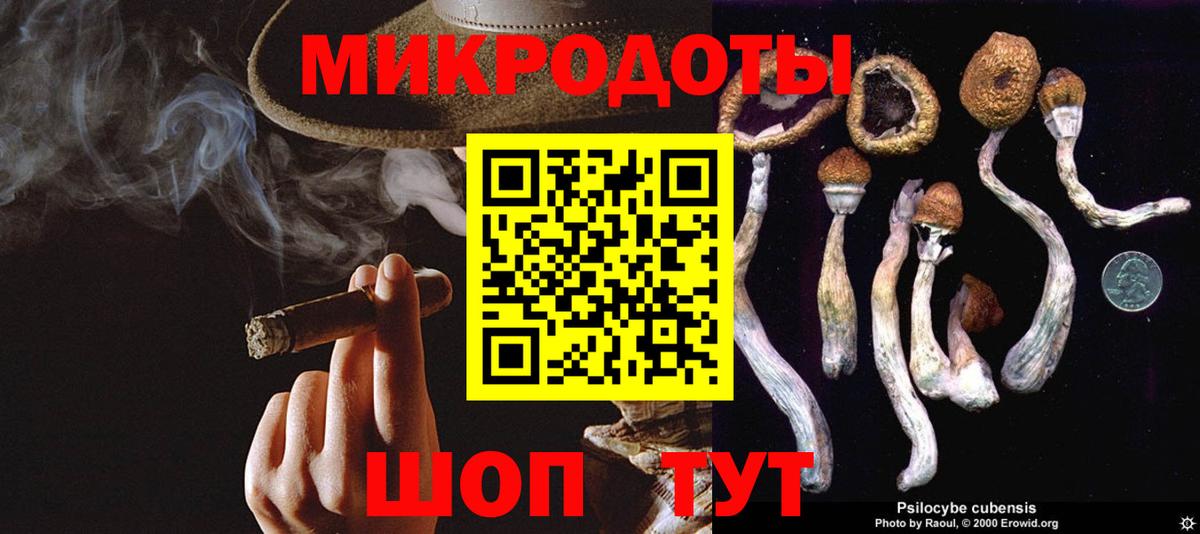 Галлюциногенные грибы GOLDEN TEACHER  Вход с VPN  сколько стоит  Бахчисарай 